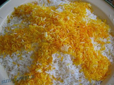 دکتر سعید عربعامری